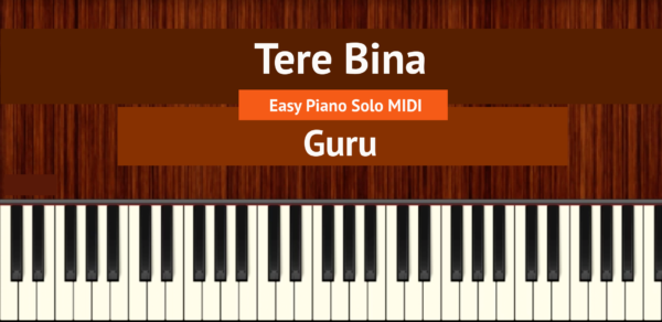Tere Bina