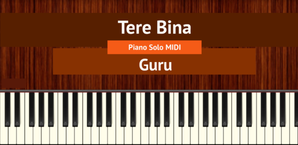 Tere Bina