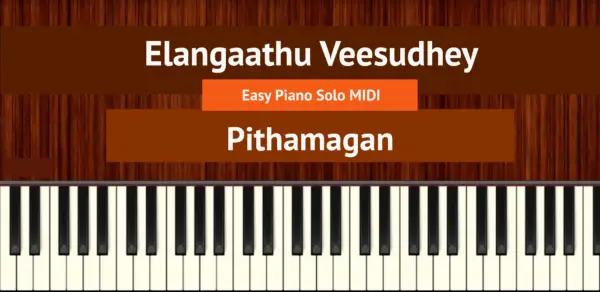 Elangaathu Veesudhey